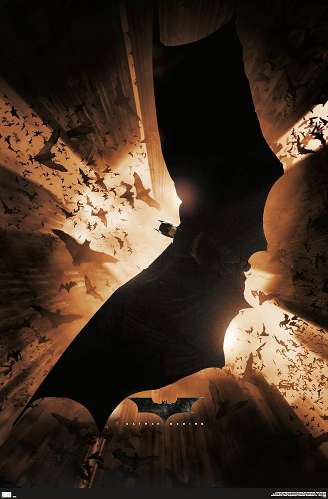 Amazon.com: Trends International DC Comics Batman Begins - One